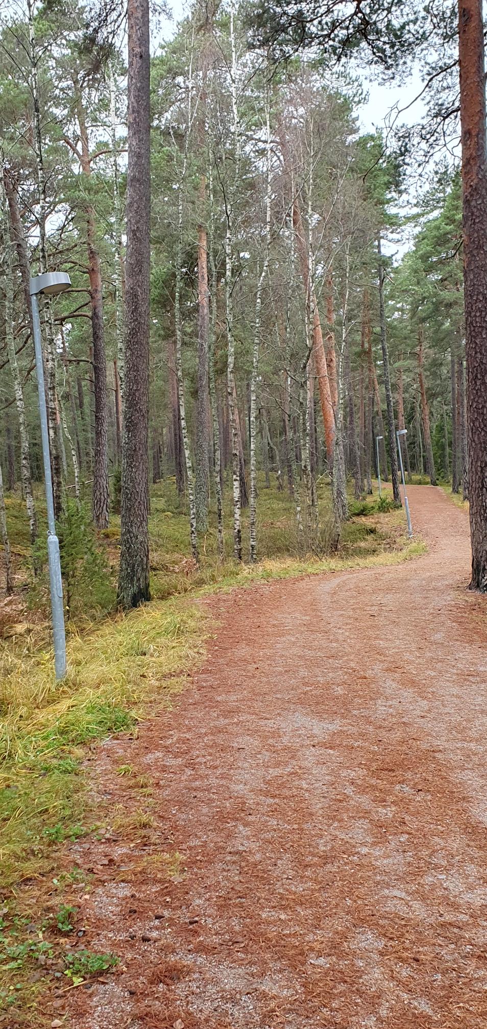 NorDark – Okonventionella metoder för hållbar belysningsdesign: Utmaningar med att balansera ljus för människa och natur i Nordiska stadsmiljöer, projektets omslagsbild. Foto.